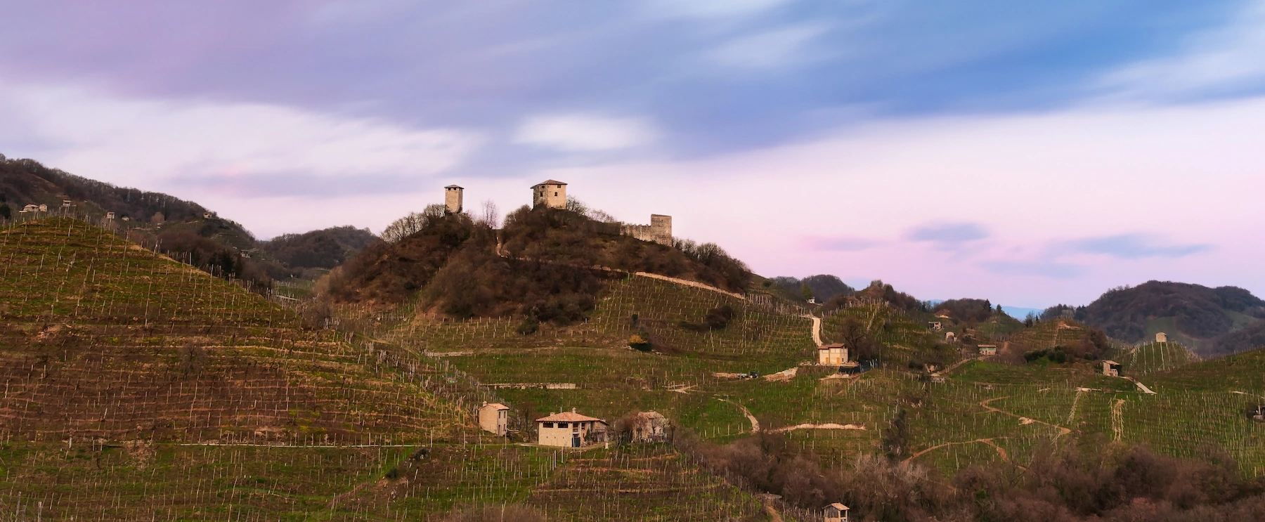 Arfanio - Cantina Barisan