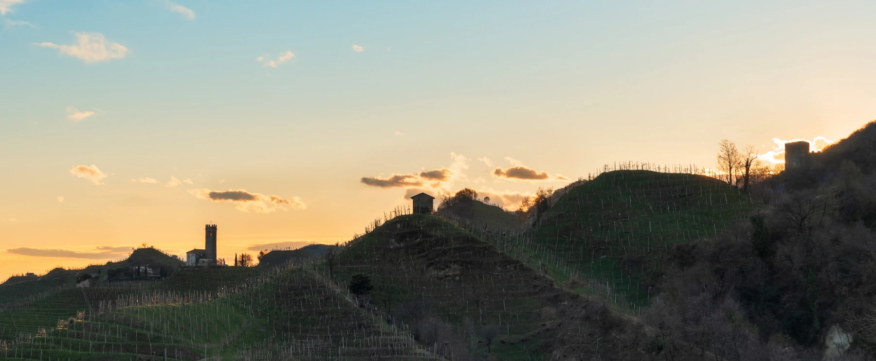 Sciantparon - Cantina Barisan