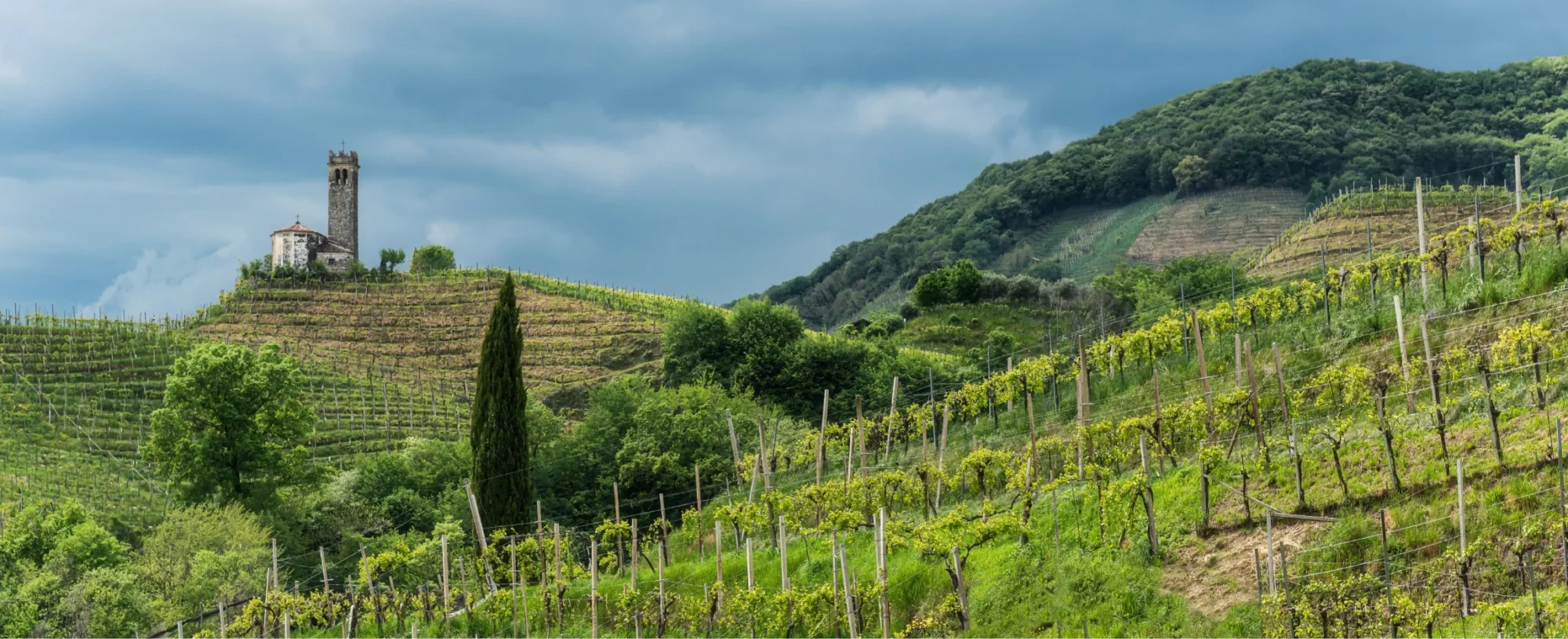 Cantina Barisan - La nostra famiglia