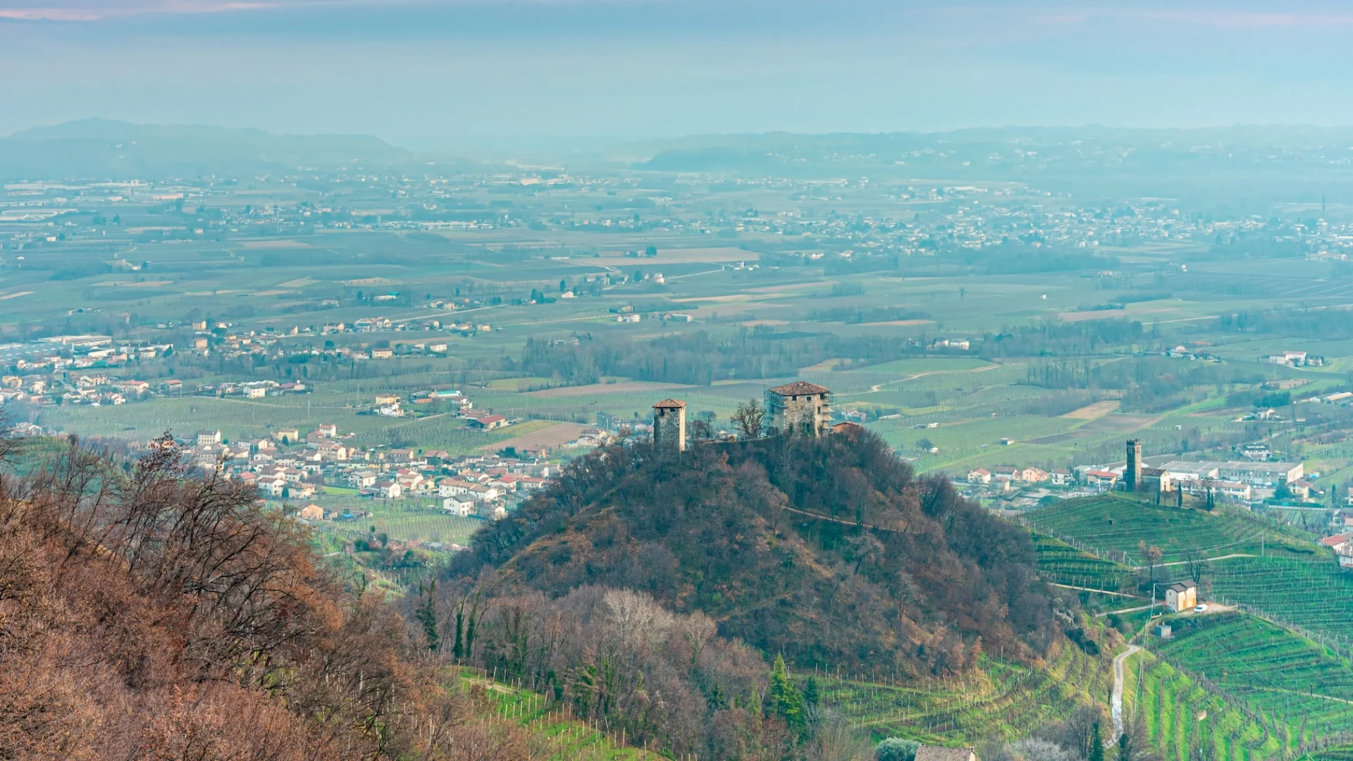 Home - Cantina Barisan